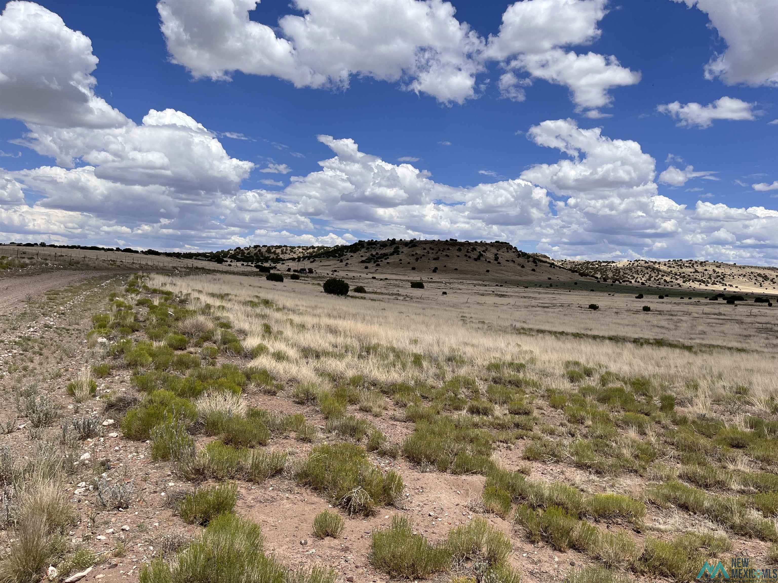 Lot 145 W Quail Drive, Quemado, Texas image 10