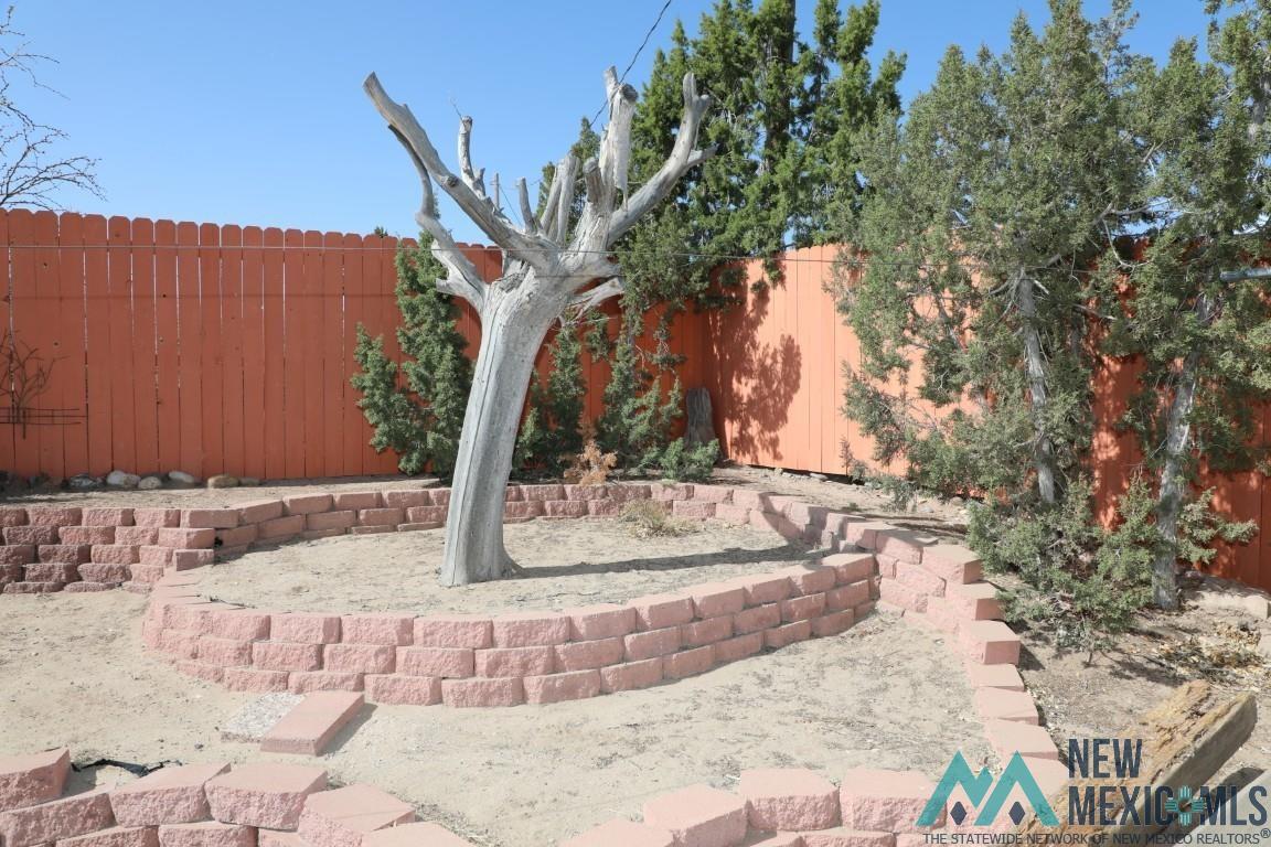 506 Catfish Road, Elephant Butte, New Mexico image 20