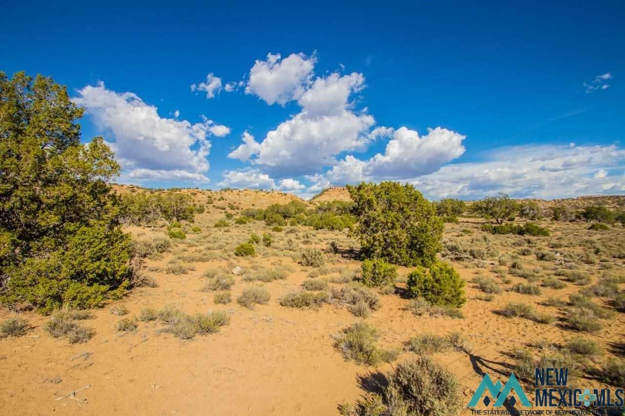 TBD Purty Rock Road, Gallup, New Mexico image 7