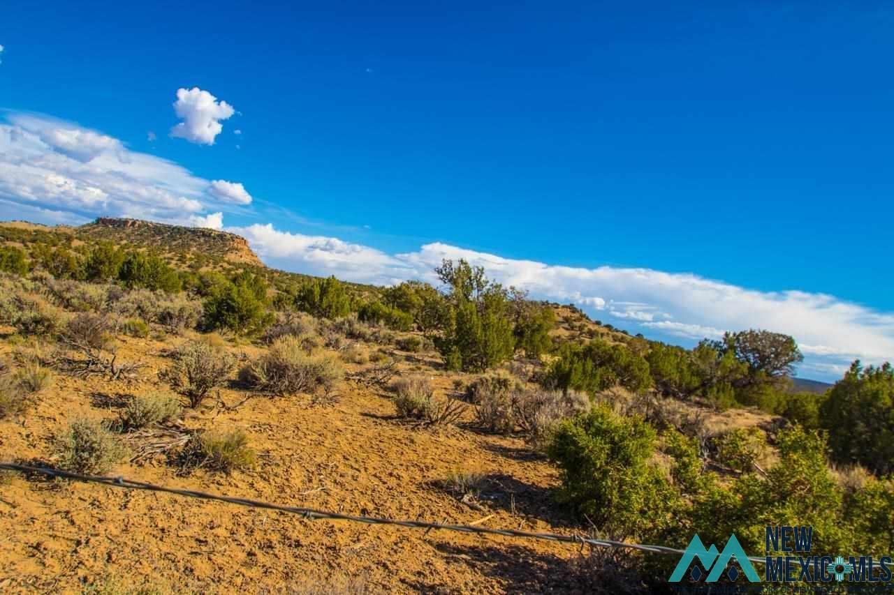 TBD Purty Rock Road, Gallup, New Mexico image 5