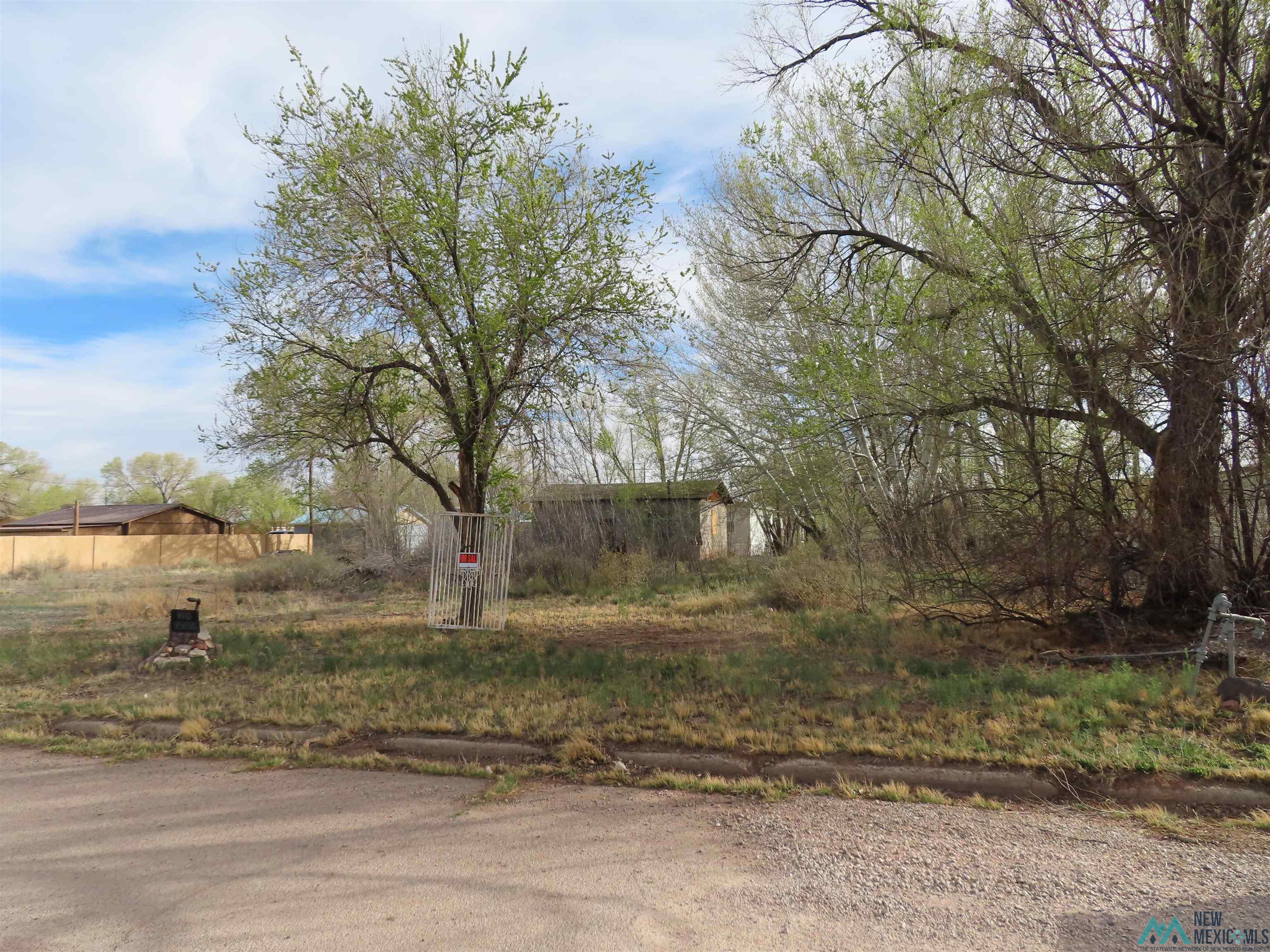 TBD2 Davis Street, Grants, New Mexico image 1