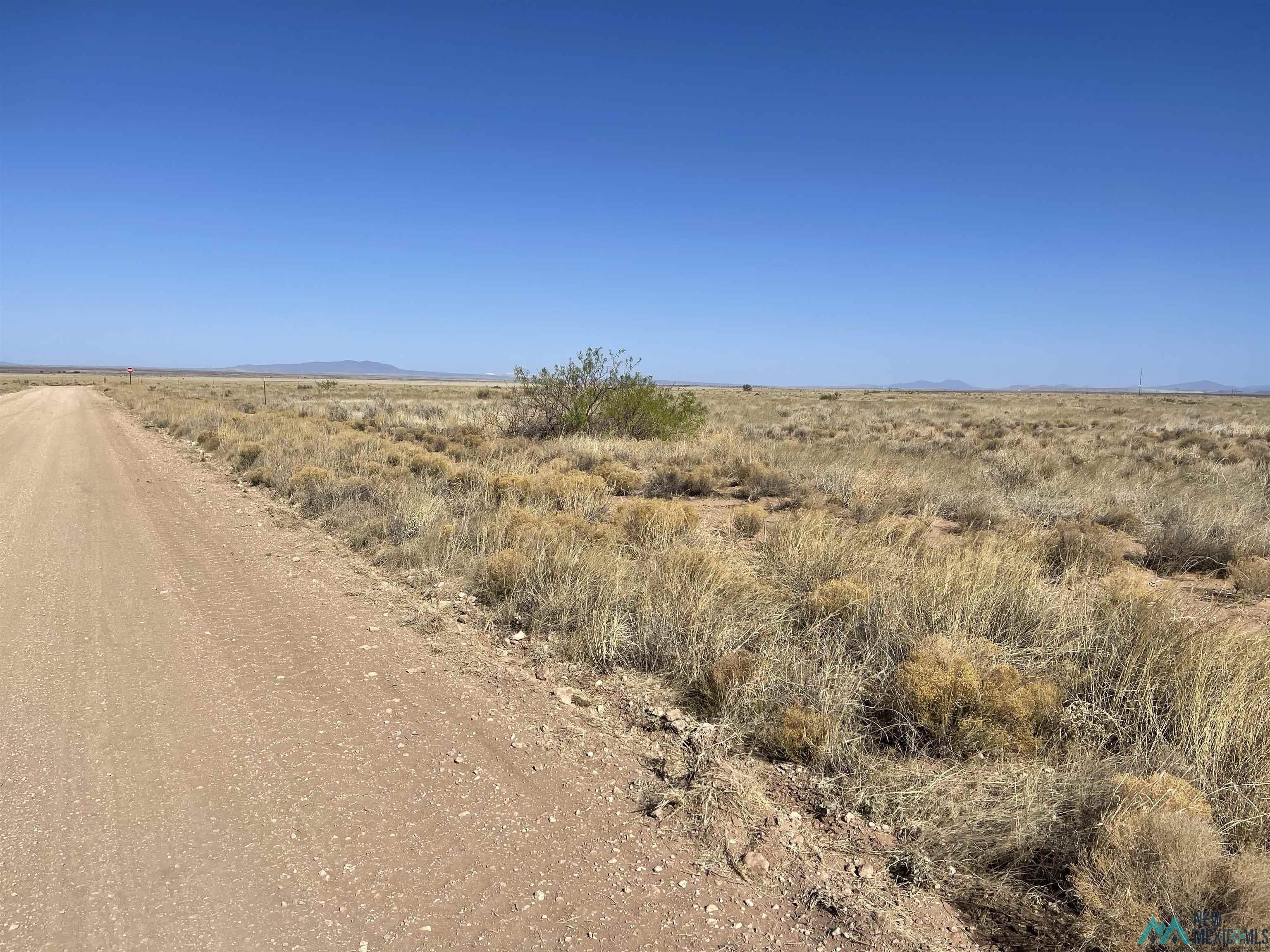 XXXX NW Forsyth Road, Deming, New Mexico image 1