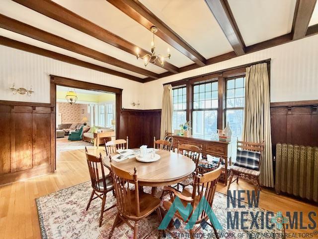 666 Cook Avenue, Raton, New Mexico image 19