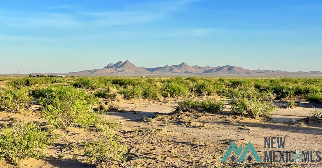 7 Fiesta Road, Deming, New Mexico image 50