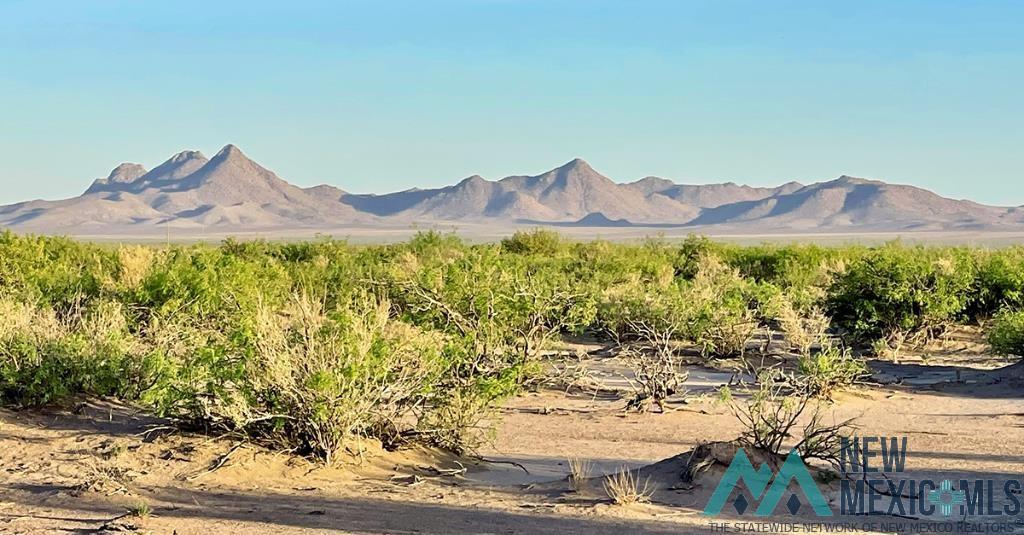 7 Fiesta Road, Deming, New Mexico image 32