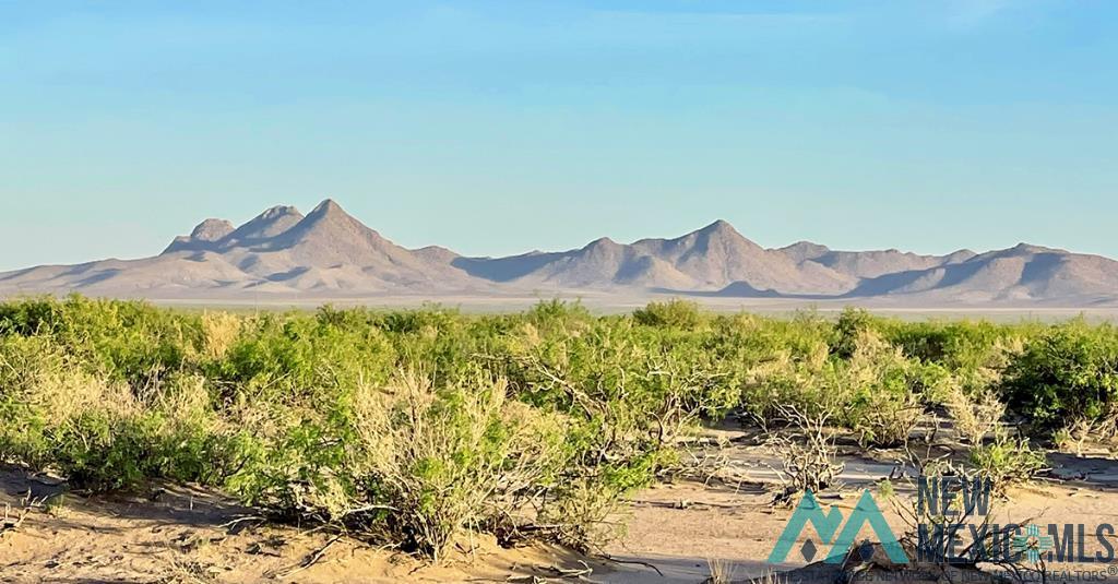 7 Fiesta Road, Deming, New Mexico image 31