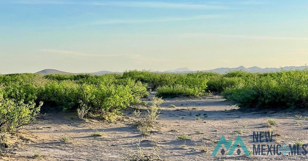 7 Fiesta Road, Deming, New Mexico image 36