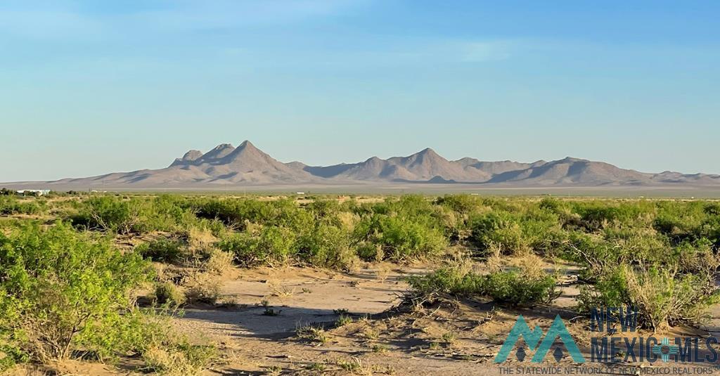 7 Fiesta Road, Deming, New Mexico image 49