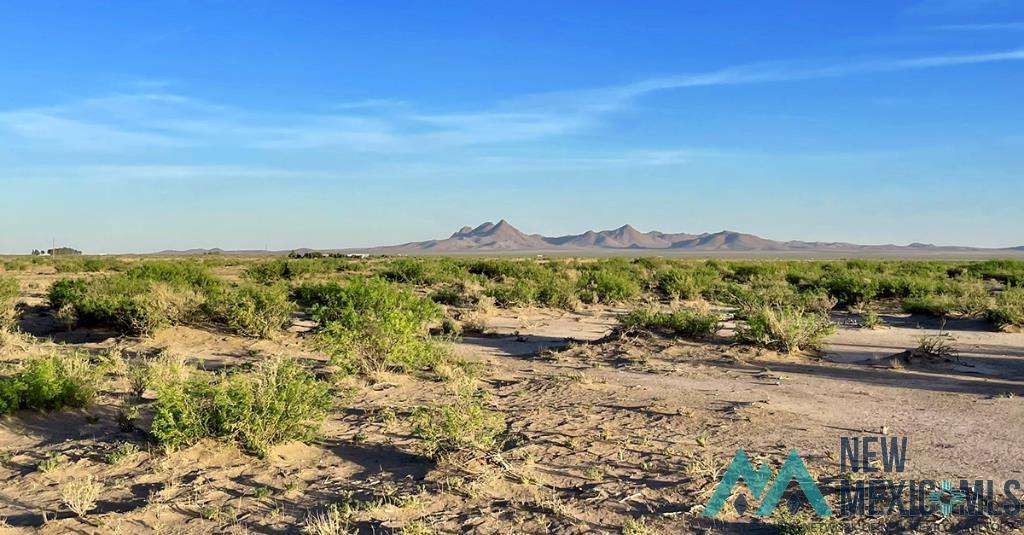 7 Fiesta Road, Deming, New Mexico image 48