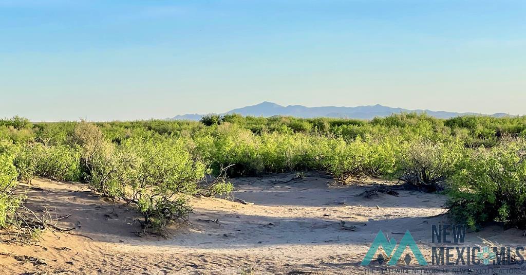 7 Fiesta Road, Deming, New Mexico image 35