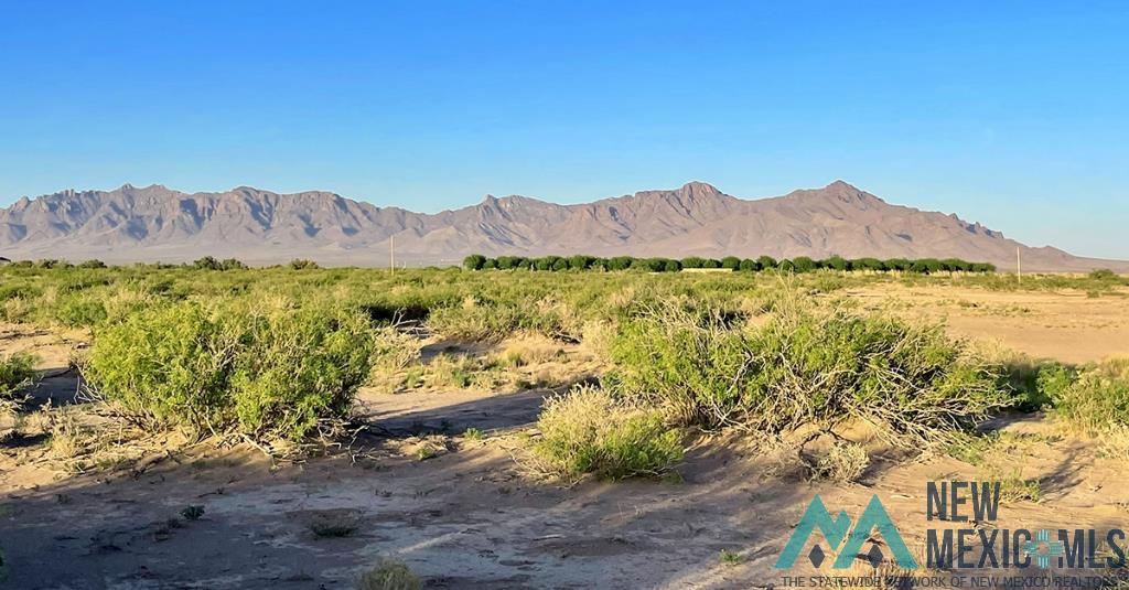 7 Fiesta Road, Deming, New Mexico image 43
