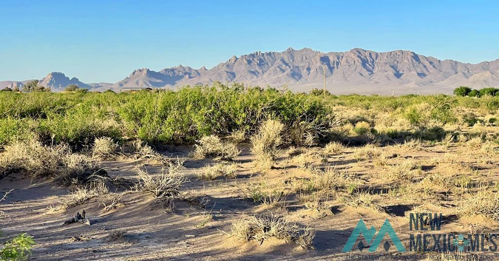 7 Fiesta Road, Deming, New Mexico image 2