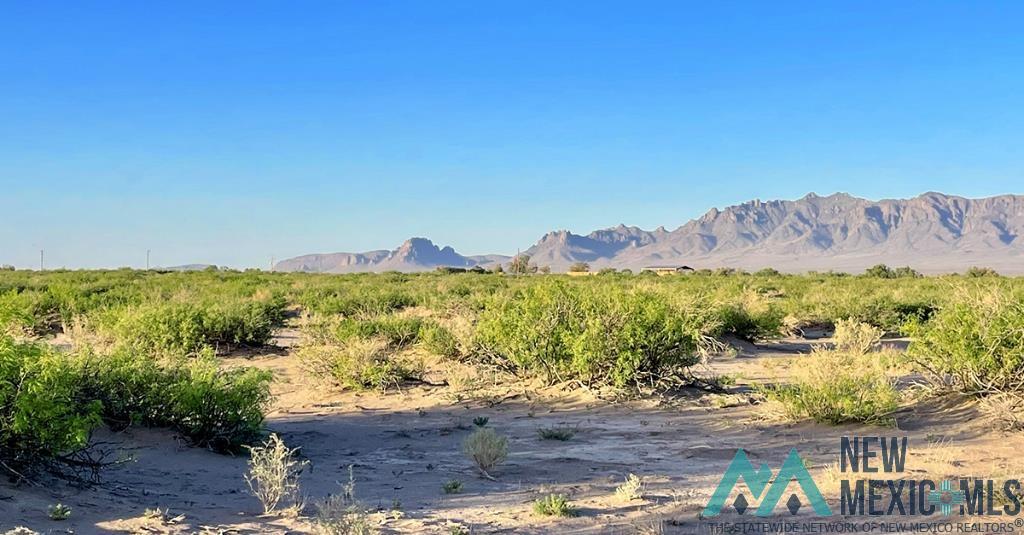 7 Fiesta Road, Deming, New Mexico image 19