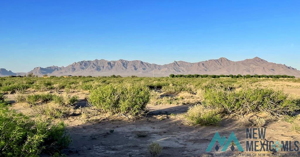 7 Fiesta Road, Deming, New Mexico image 45