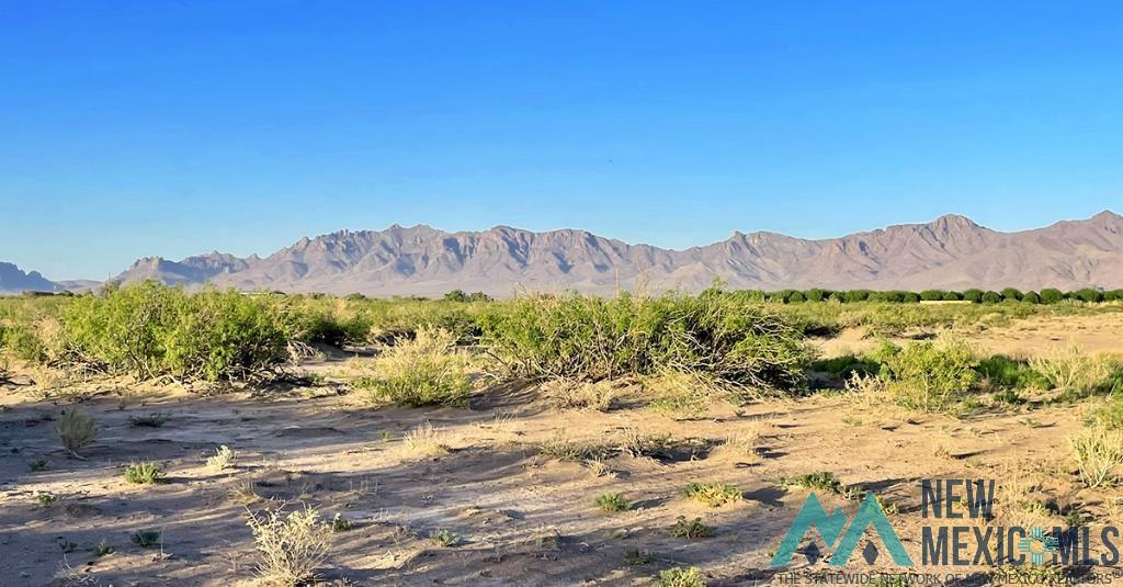 7 Fiesta Road, Deming, New Mexico image 17