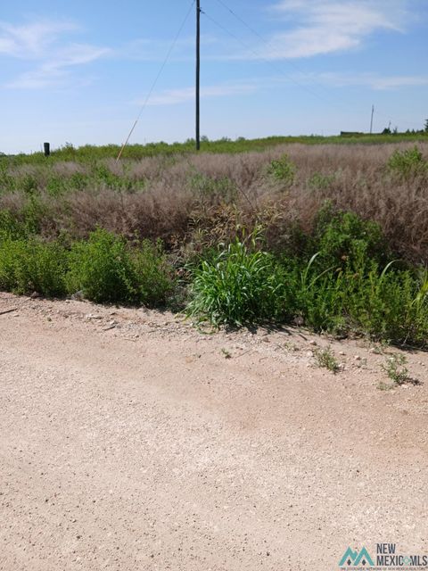 Vacant Land For Sale - 710 S Rru Road<br/> Portales, NM 88130