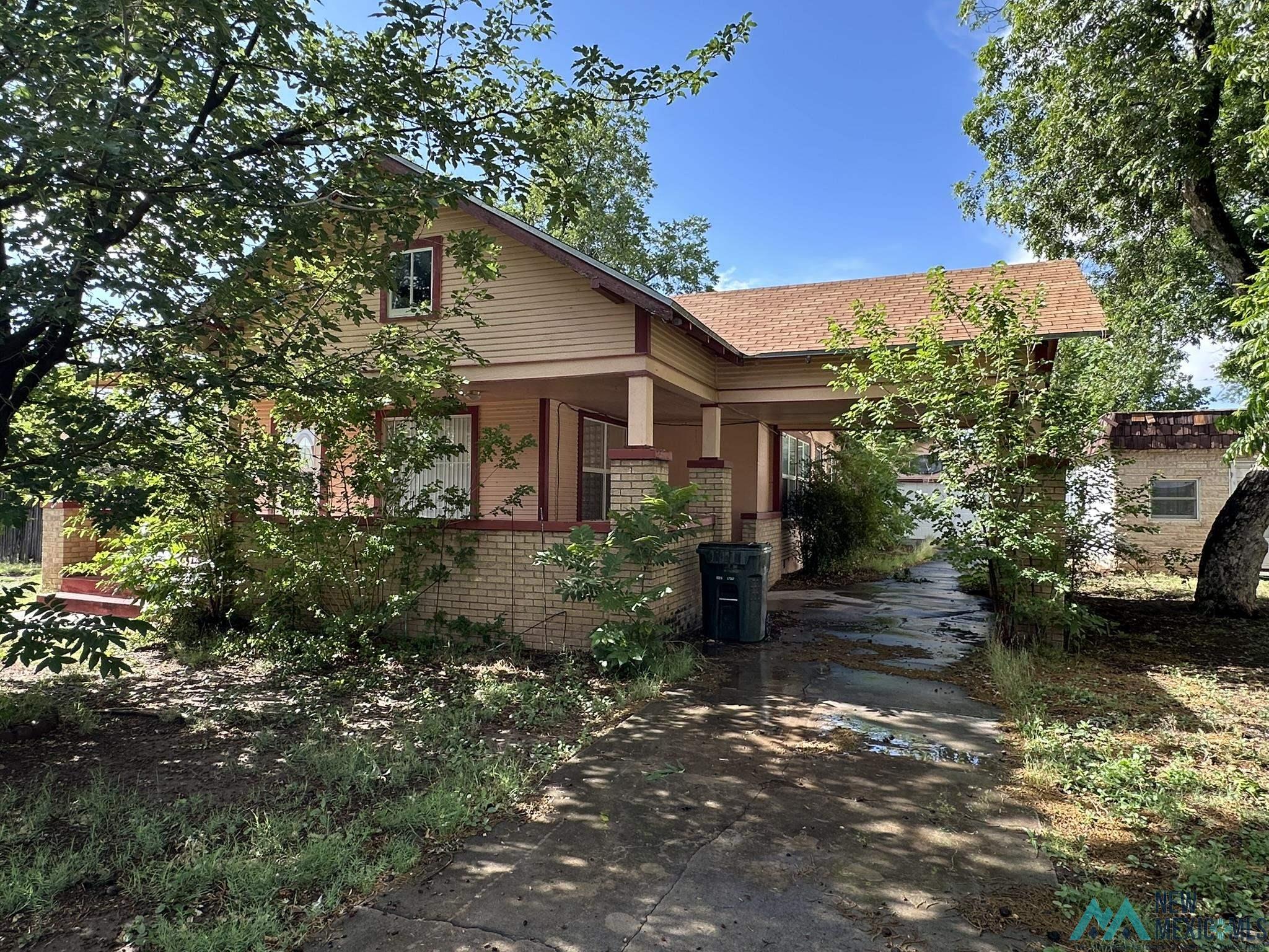 210 W Blodgett Street, Carlsbad, Texas image 1