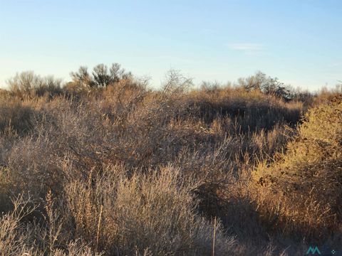 Vacant Land For Sale - 00 Sunshine Rd Se Road<br/> Luna County, Deming, NM 88030