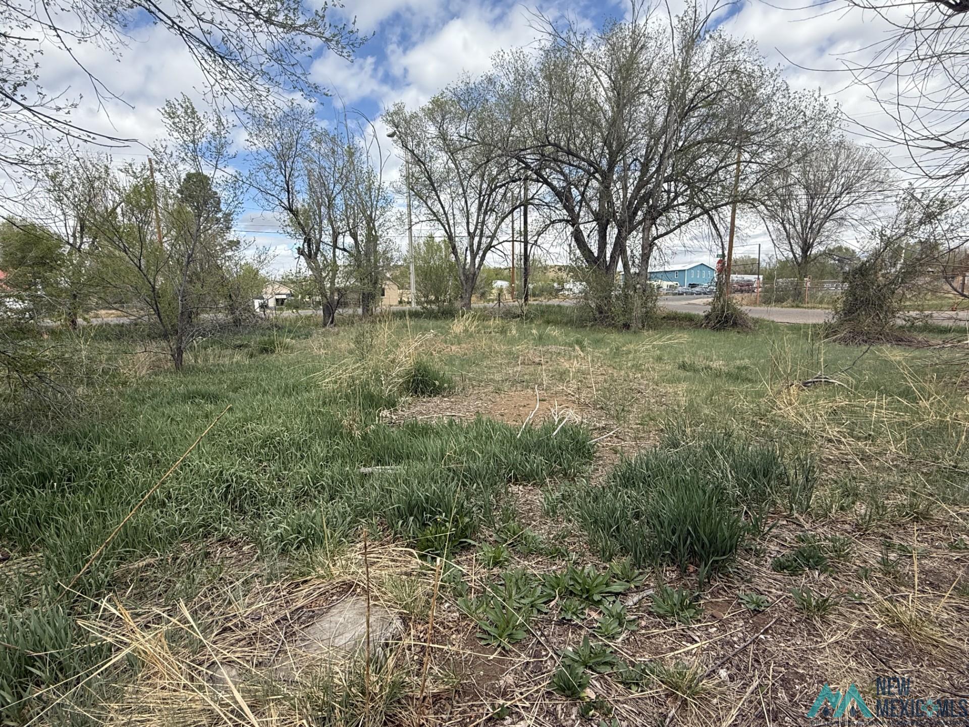 8 Mullins Drive, Las Vegas, Texas image 15