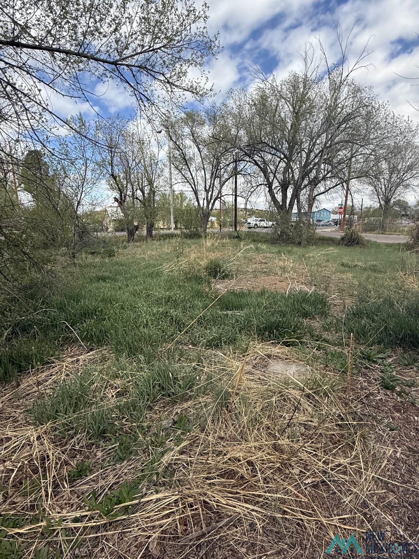 8 Mullins Drive, Las Vegas, Texas image 16