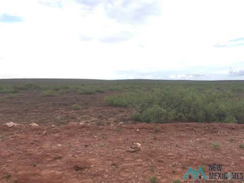 Vacant Land For Sale - 00 Cottonwood Road<br/> Roswell, NM 88201