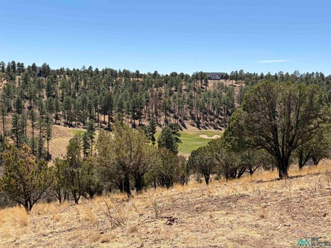 Vacant Land For Sale - 136 Bobby Jones Court<br/> Alto, NM 88312