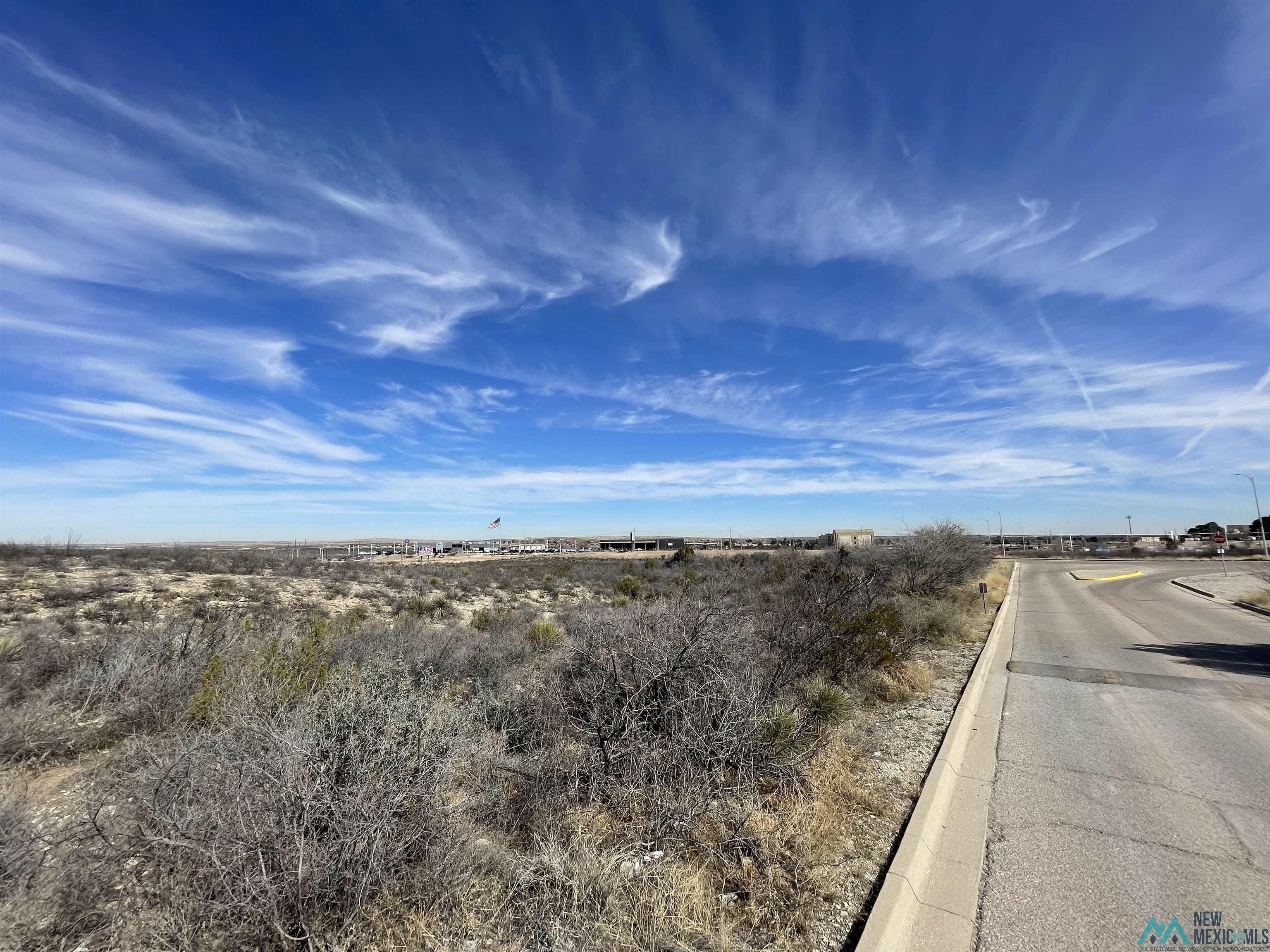 W 2802 W Pierce Street, Carlsbad, New Mexico image 3