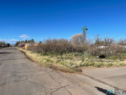 Vacant Land For Sale - San Miguel St<br/> Deming, NM 88030