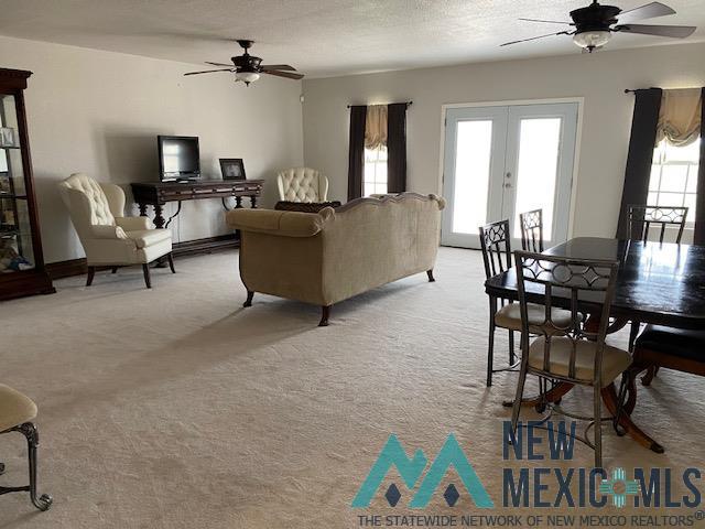 5215 Beargrass Road, Roswell, Texas image 11