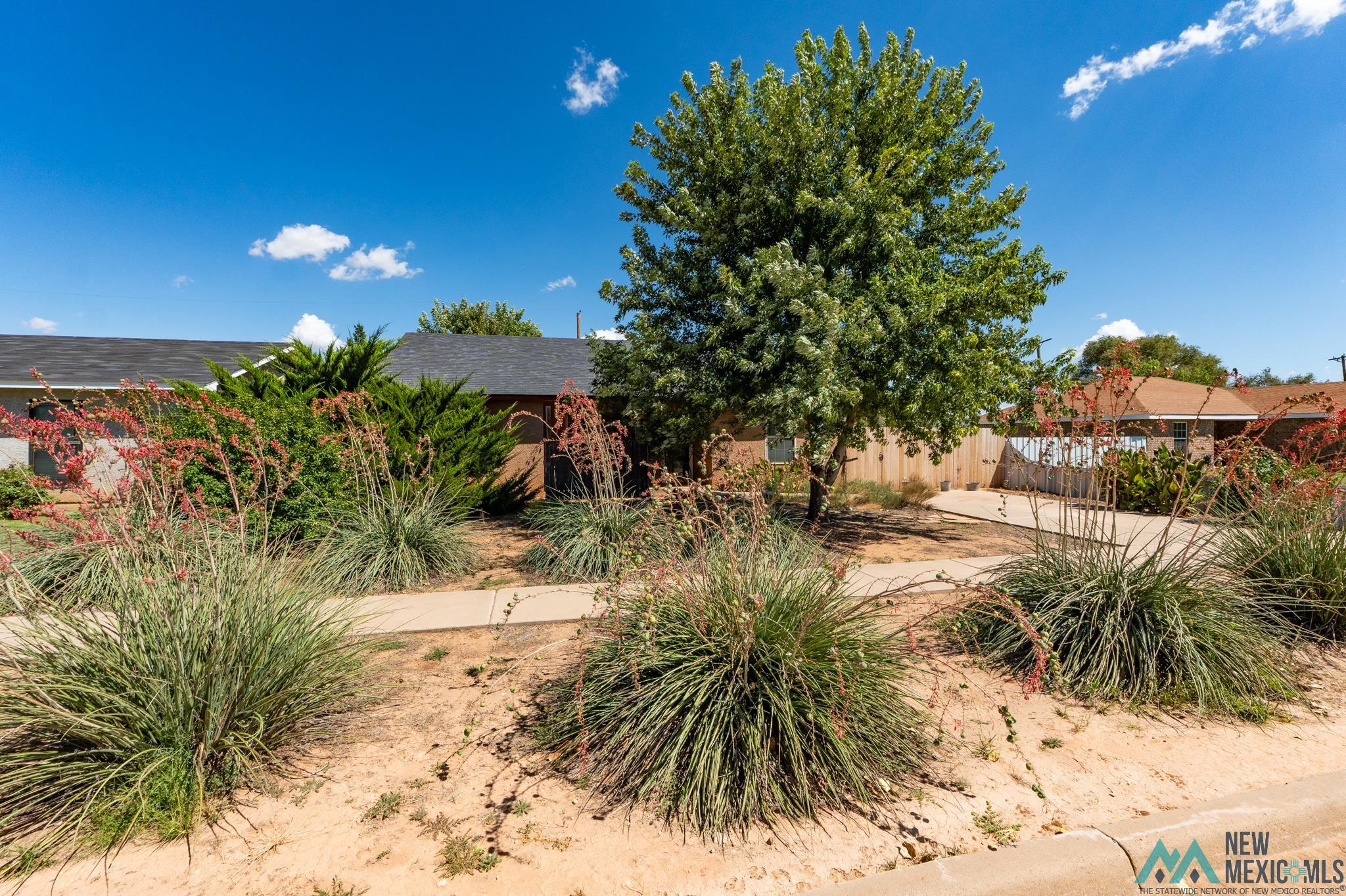 Clovis, New Mexico 88101, United States, 3 Bedrooms Bedrooms, ,2 BathroomsBathrooms,Residential,Active,206326