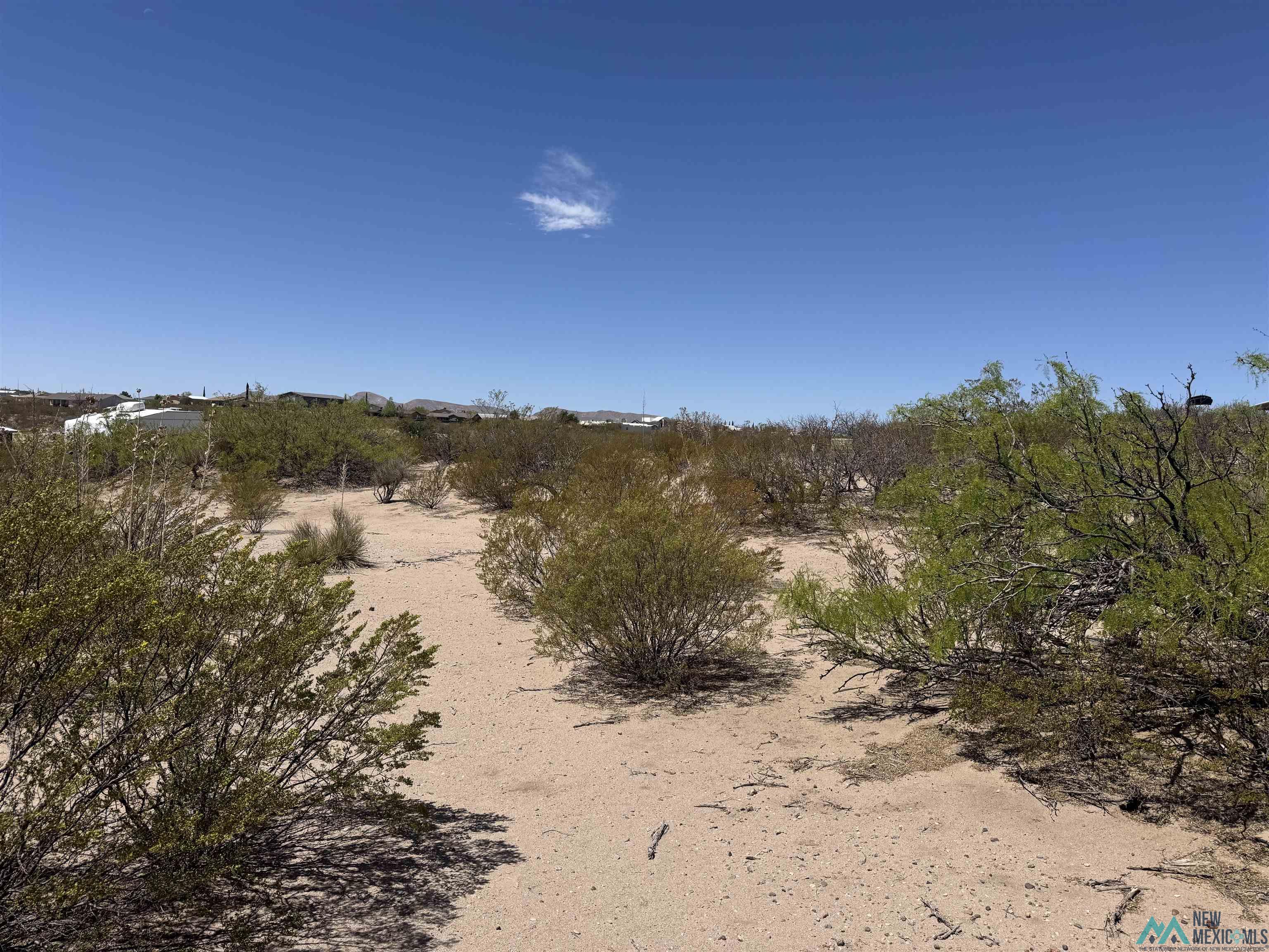 406 Skyline Drive, Elephant Butte, Texas image 1
