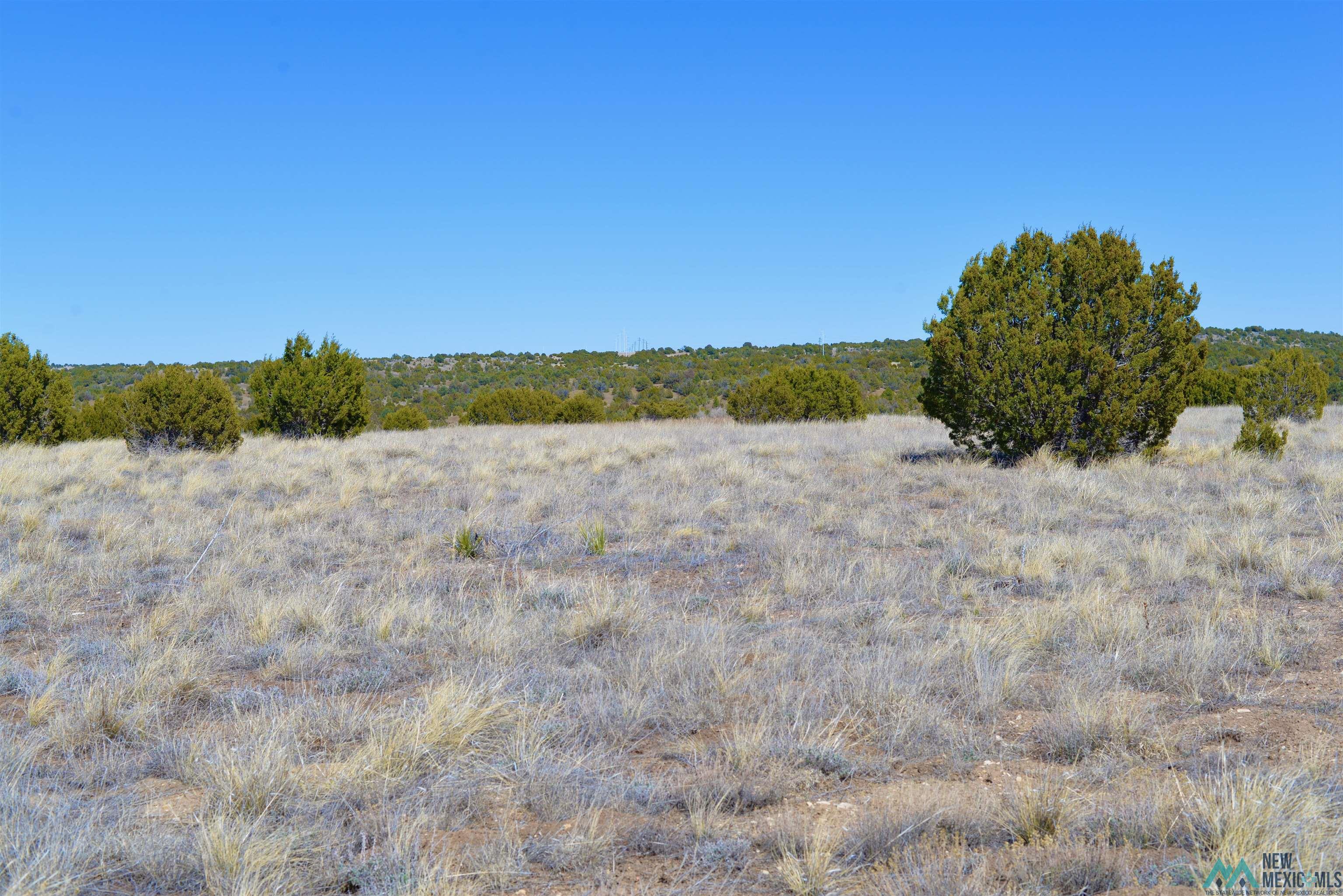 000 Lakeview Drive, Las Vegas, New Mexico image 4