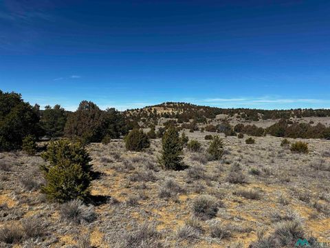 Vacant Land For Sale - XX Wild Horse Road<br/> Pie Town, NM 87827
