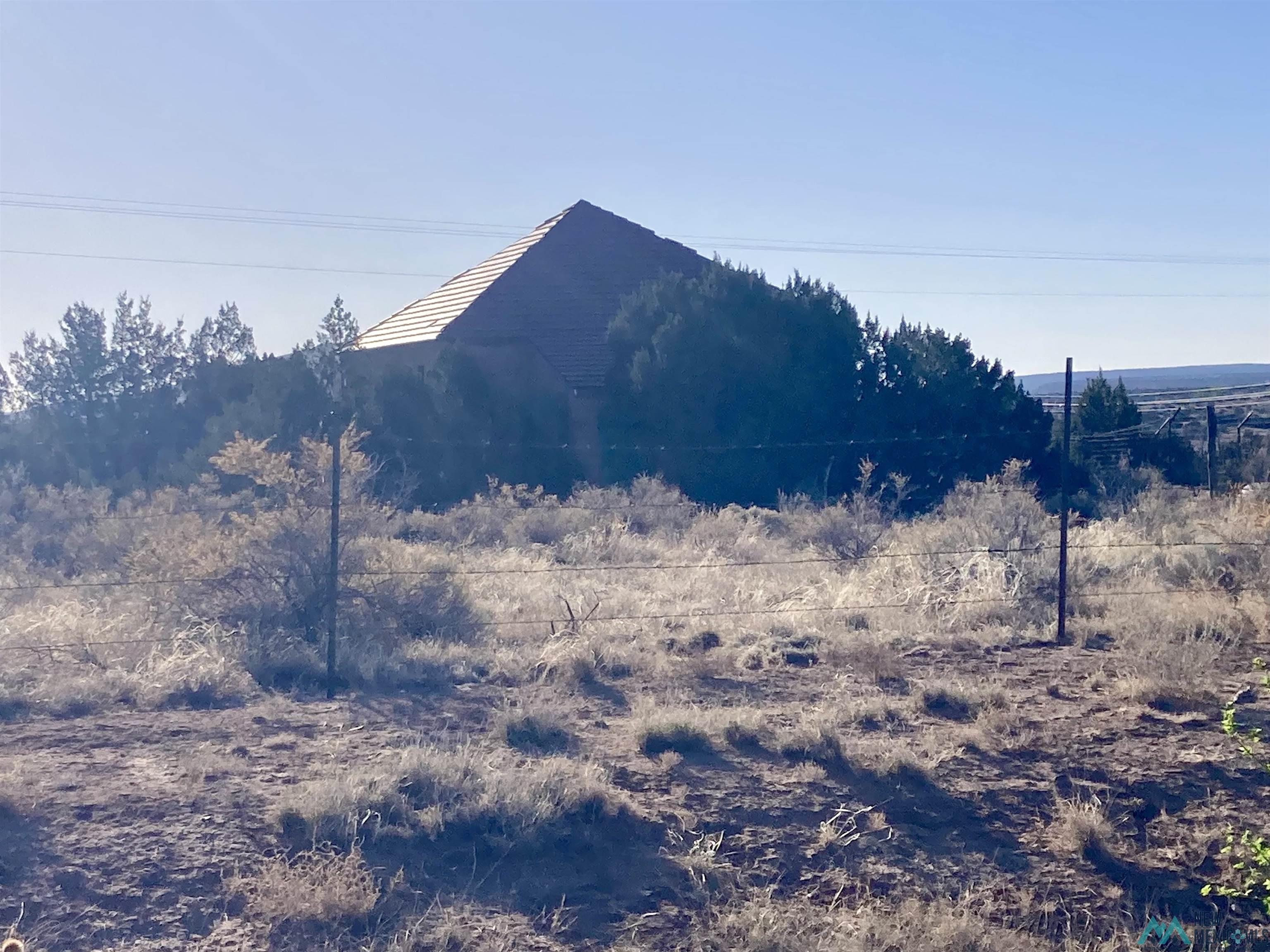 64 San Lorenzo Road, San Fidel, Texas image 12