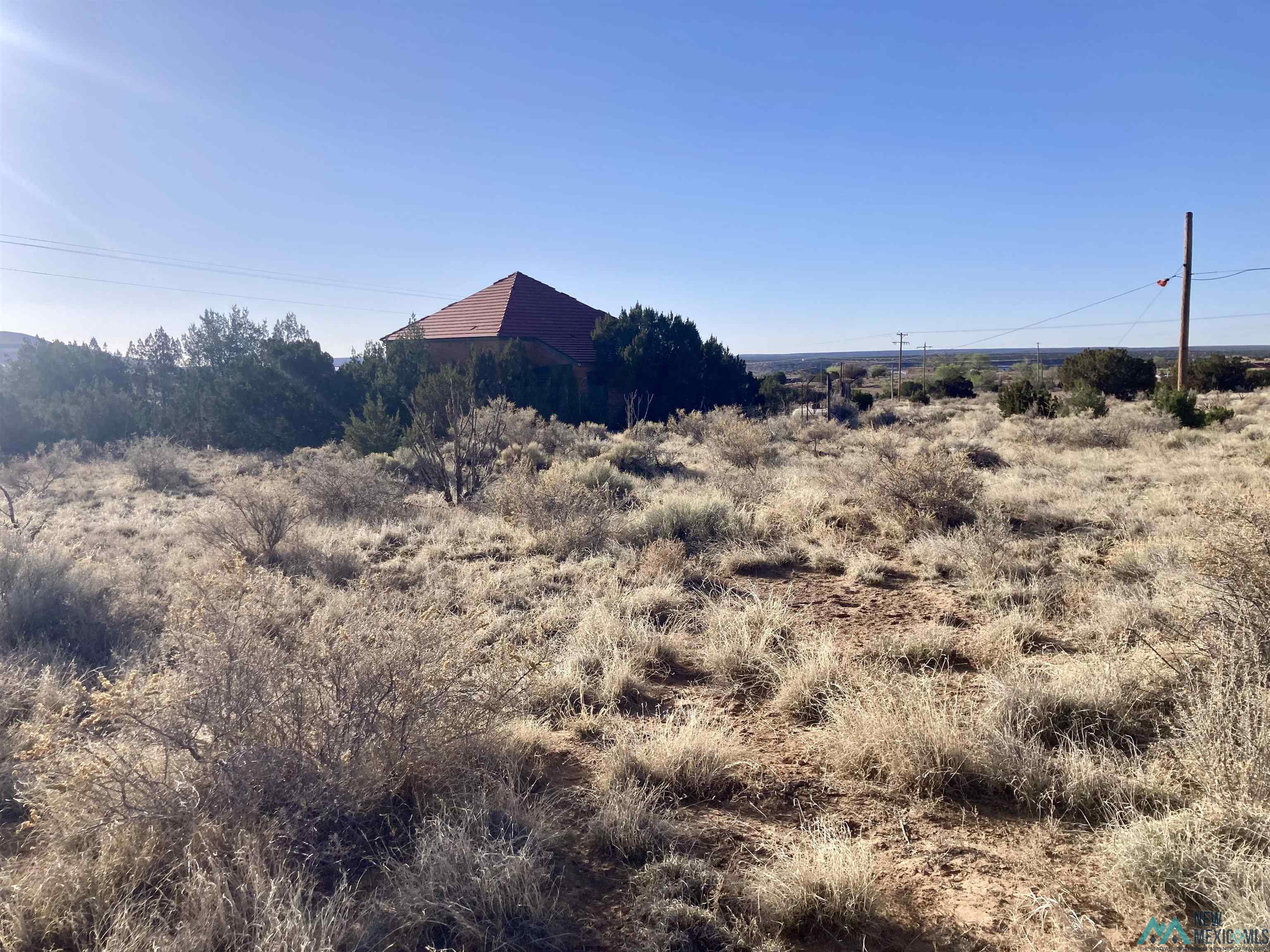 64 San Lorenzo Road, San Fidel, Texas image 9