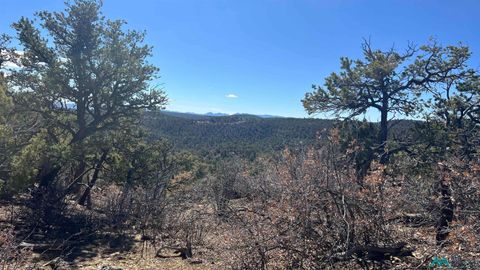 Vacant Land For Sale - 30 L-bar Road<br/> Pie Town, NM 87827