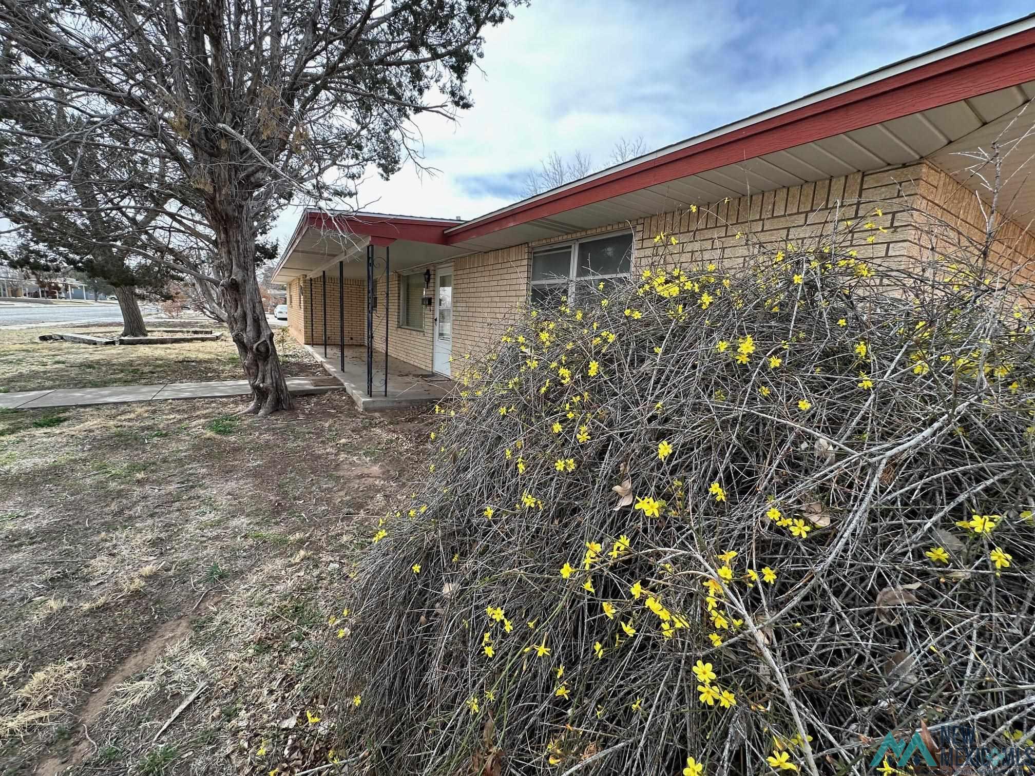 1316 S Avenue A Avenue, Portales, New Mexico image 28