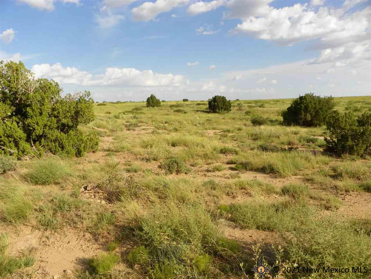 1A Lot Quay Road Ai, Tucumcari, New Mexico image 4