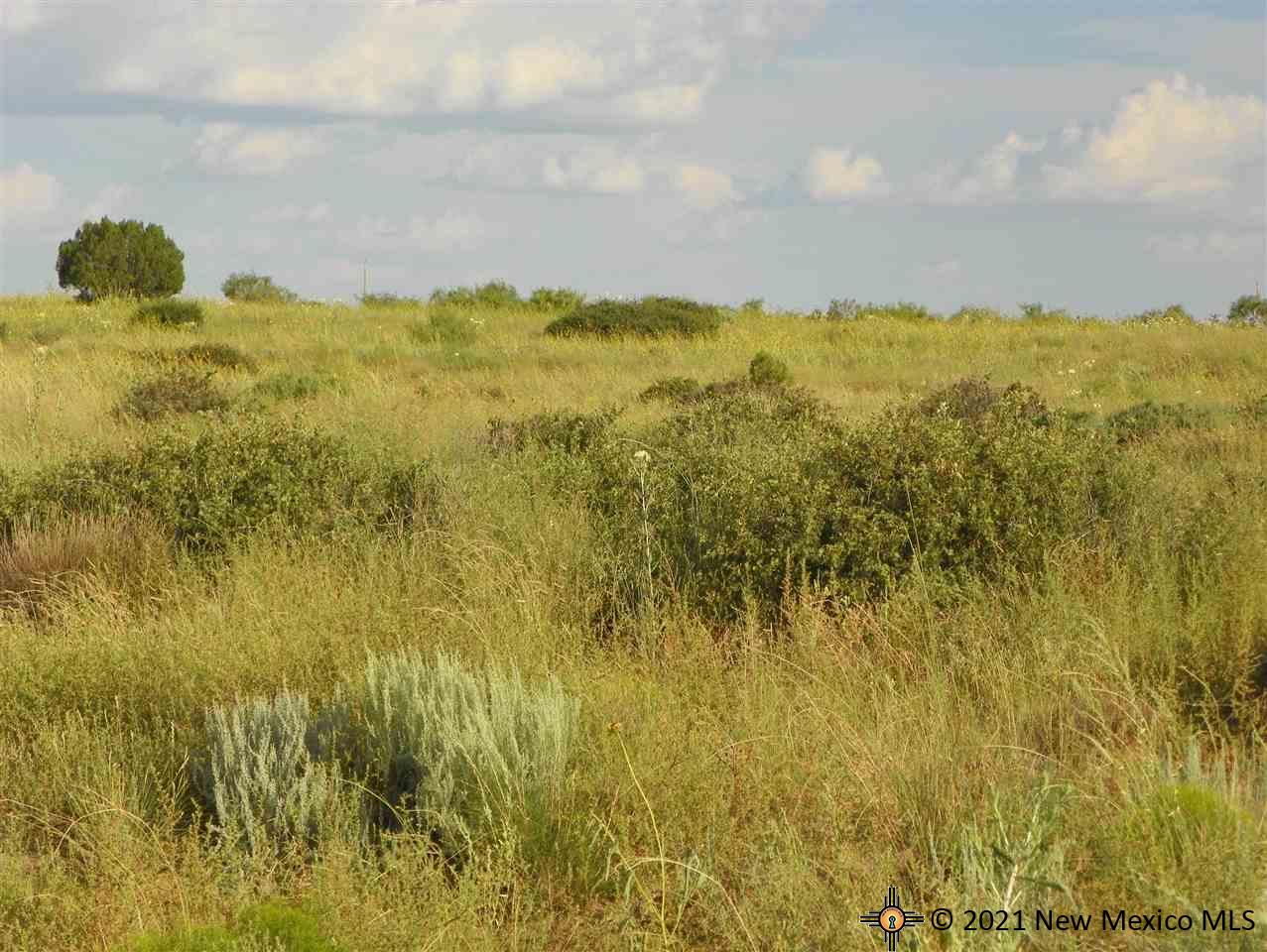 1A Lot Quay Road Ai, Tucumcari, New Mexico image 18