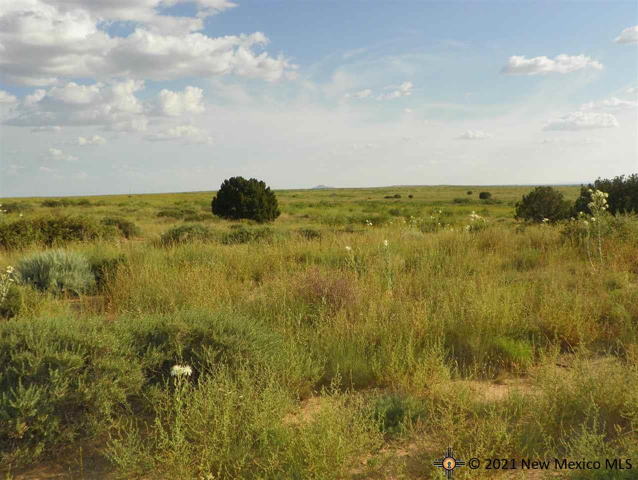 1A Lot Quay Road Ai, Tucumcari, New Mexico image 19