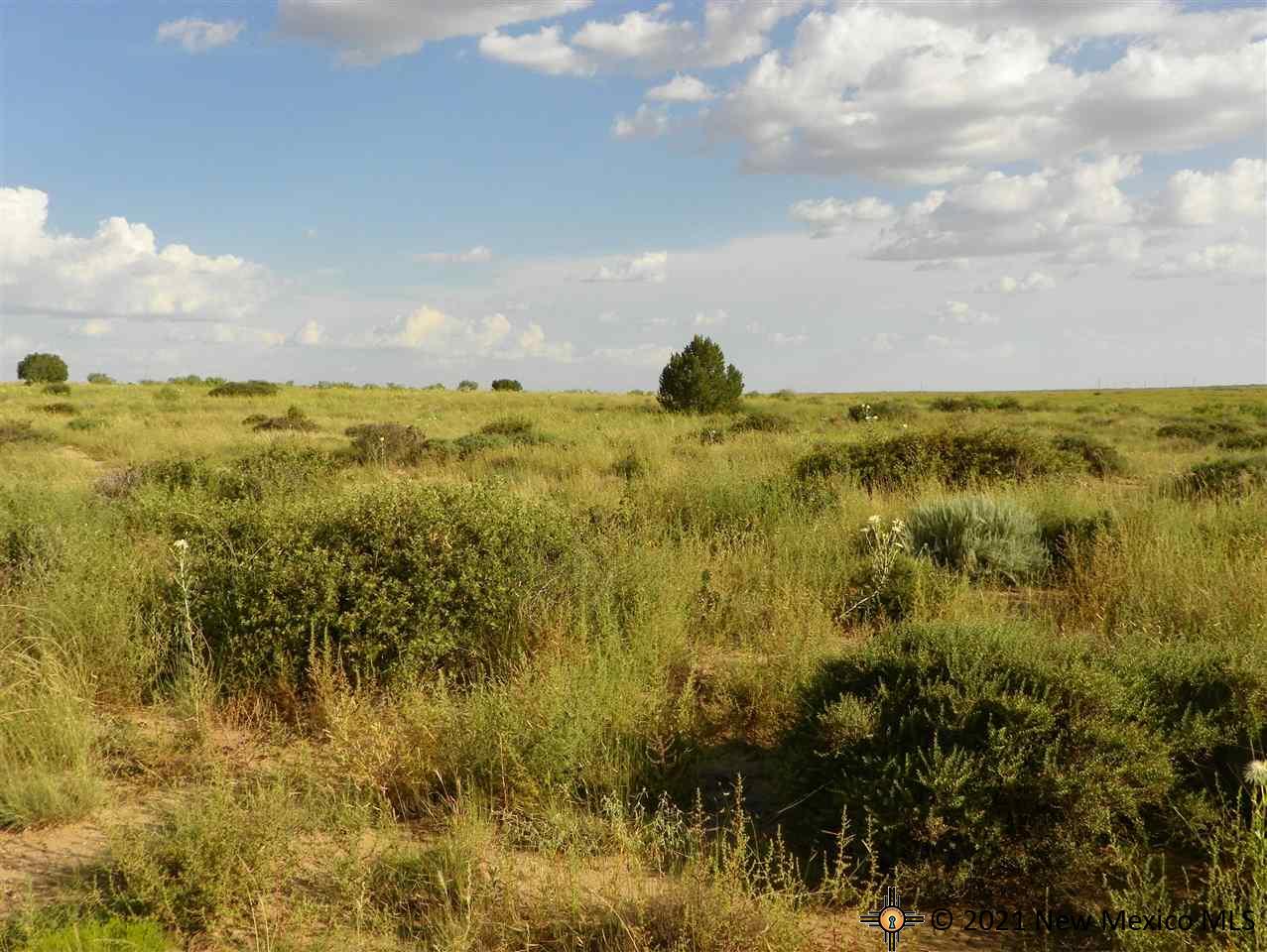 1A Lot Quay Road Ai, Tucumcari, New Mexico image 20