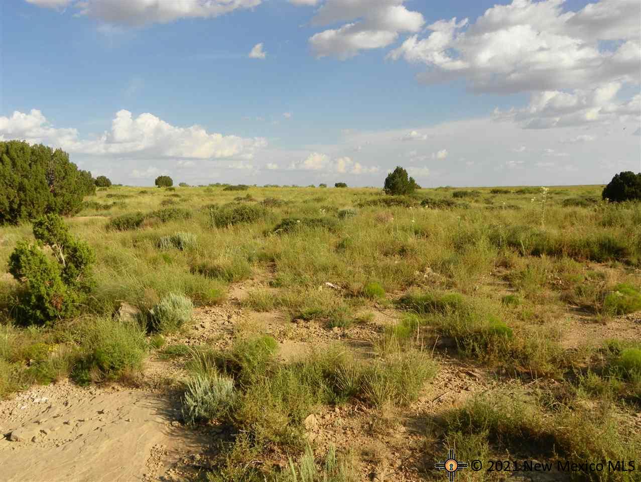 1A Lot Quay Road Ai, Tucumcari, New Mexico image 15