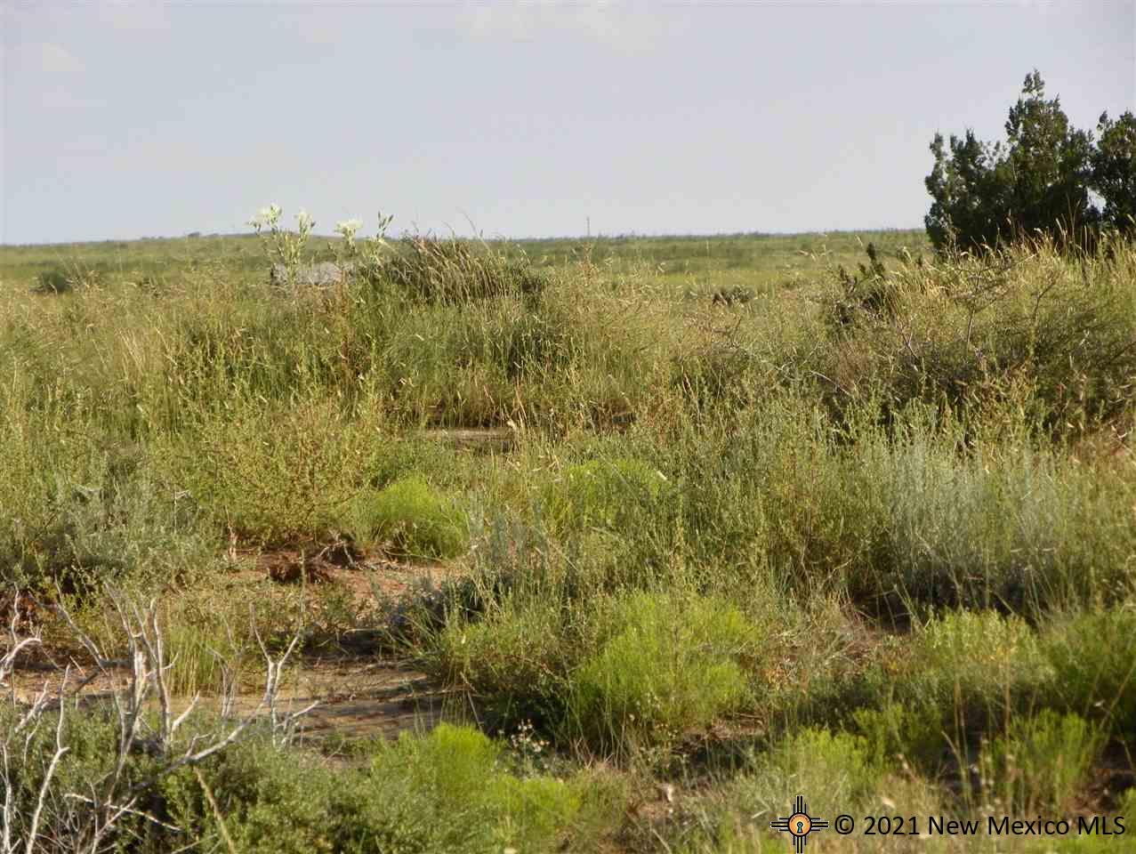 1A Lot Quay Road Ai, Tucumcari, New Mexico image 13