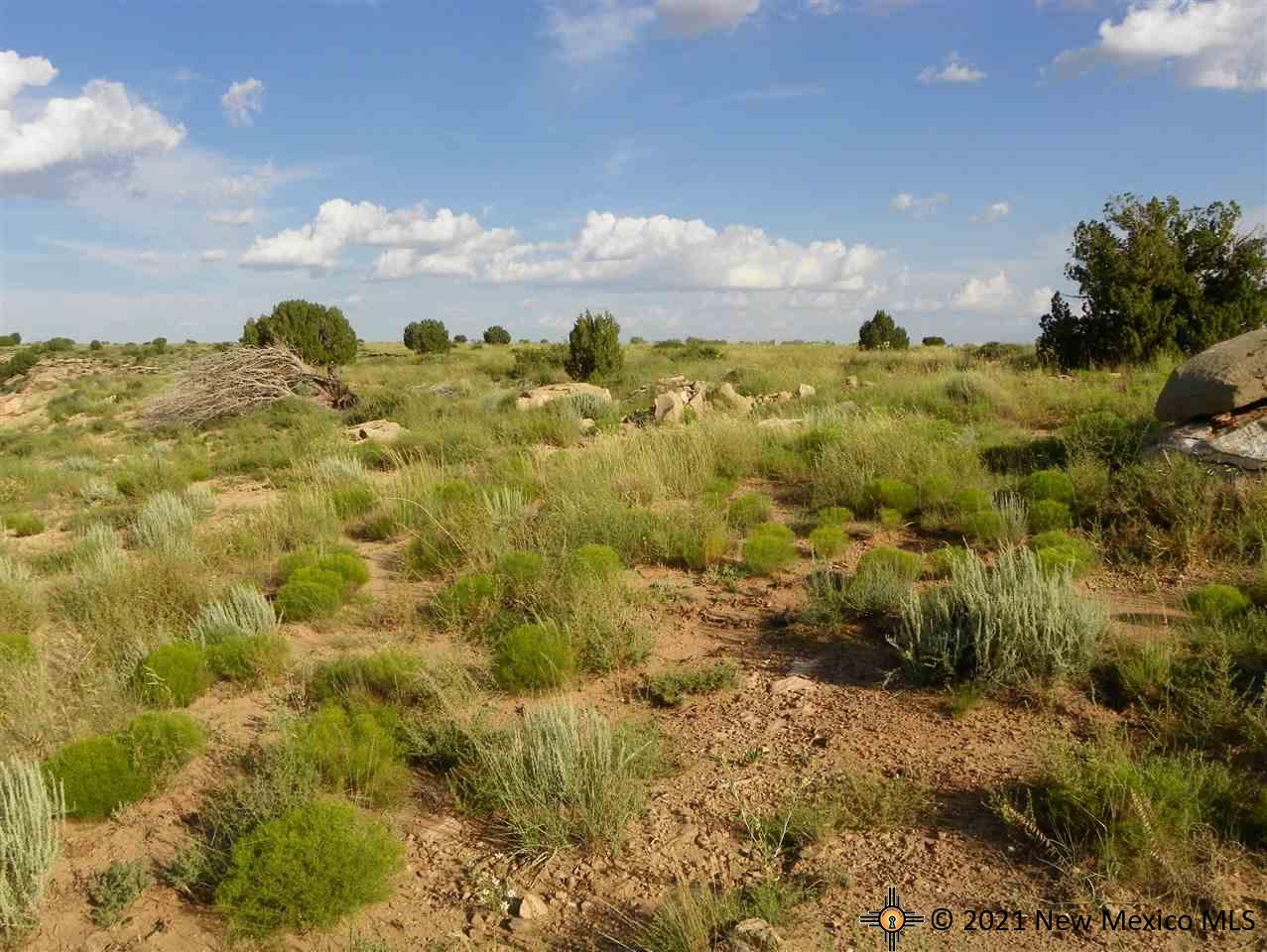 1A Lot Quay Road Ai, Tucumcari, New Mexico image 7