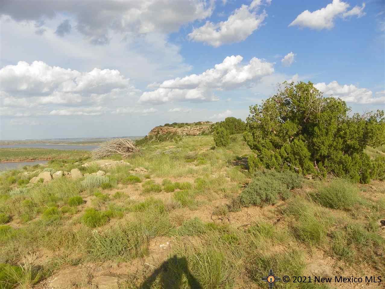 1A Lot Quay Road Ai, Tucumcari, New Mexico image 3