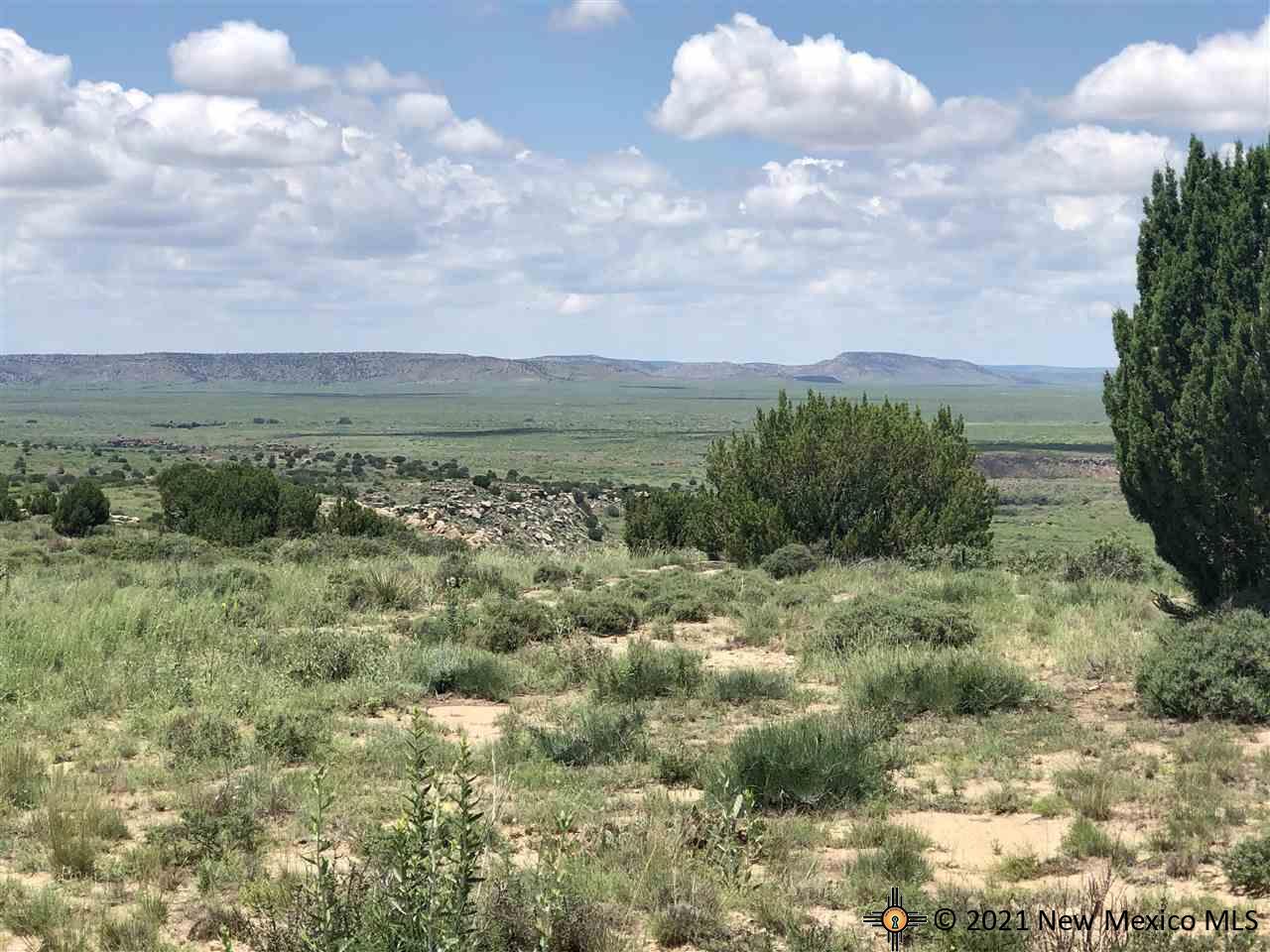 1A Lot Quay Road Ai, Tucumcari, New Mexico image 25