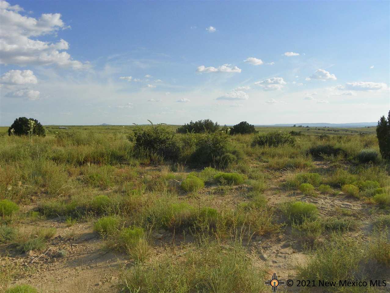 1A Lot Quay Road Ai, Tucumcari, New Mexico image 16