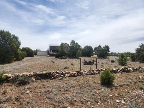 Vacant Land For Sale - 26 Branding Iron Road<br/> Quemado, NM 87829