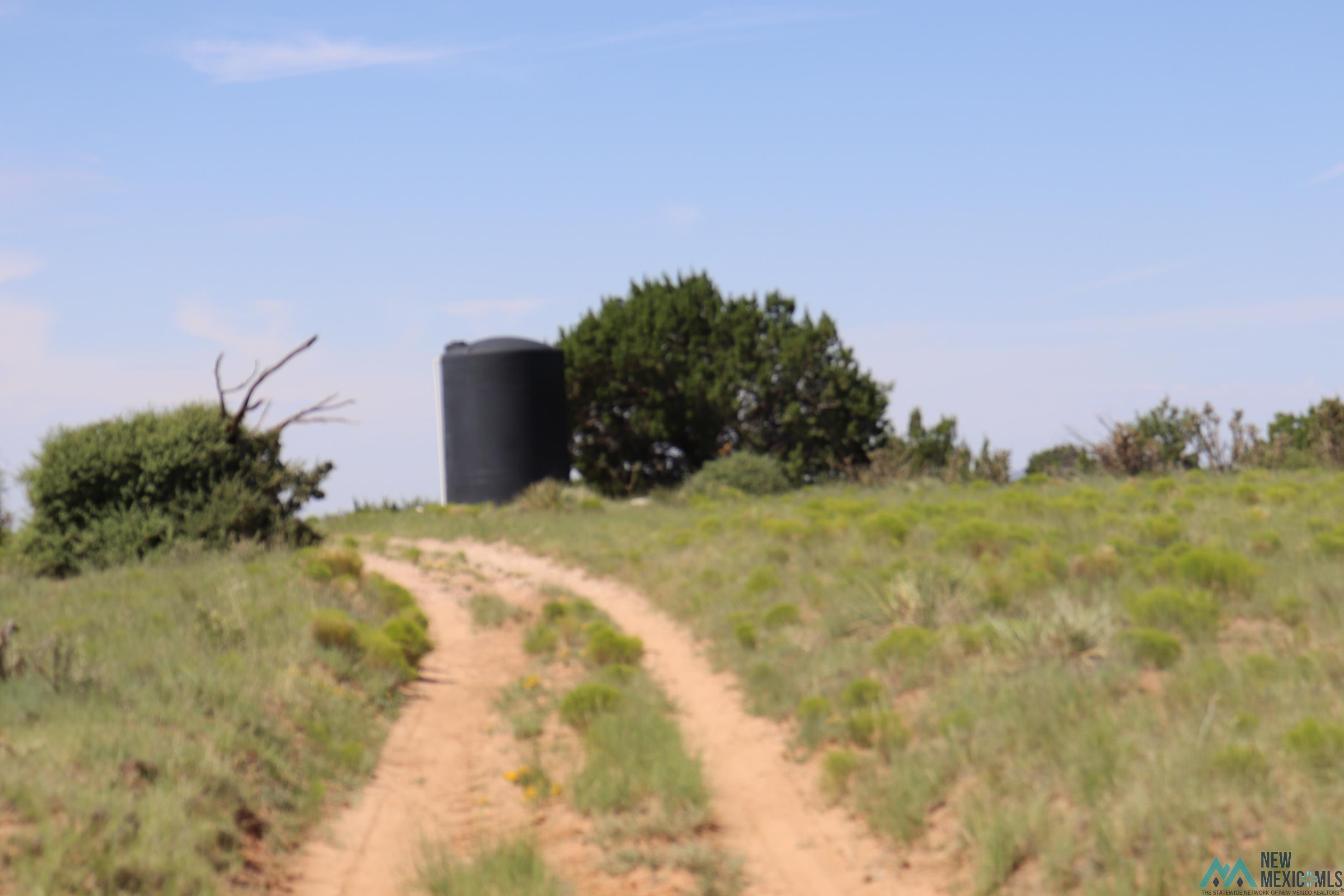 122 County Road B001 Road, Mountainair, Texas image 8