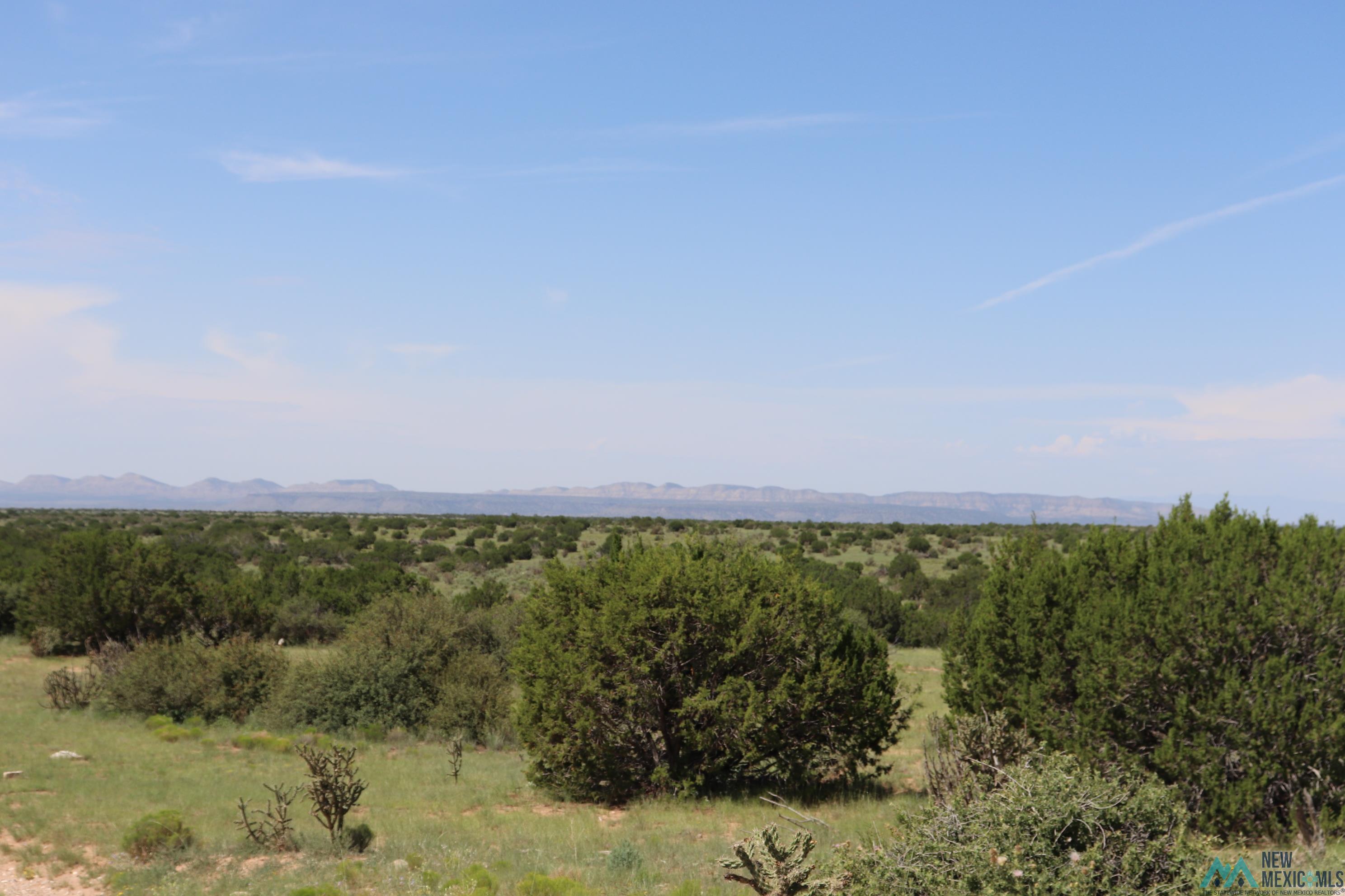 122 County Road B001 Road, Mountainair, Texas image 9